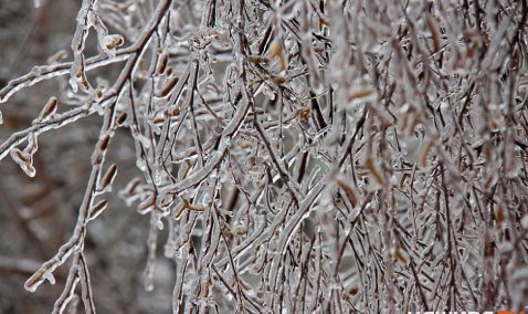 Ледяной дождь в Кашире