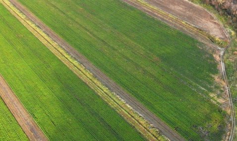 Двум каширским врачам впервые в округе предоставят бесплатные земельные участки