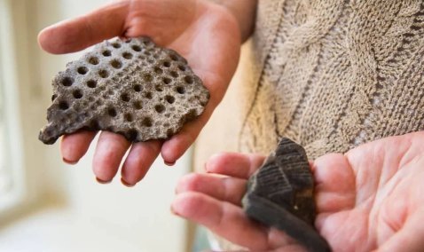 В Кашире при замене труб нашли артефакты эпохи египетских пирамид