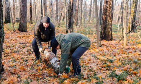 Глава Каширы призвал всех желающих собрать дрова в березовой роще