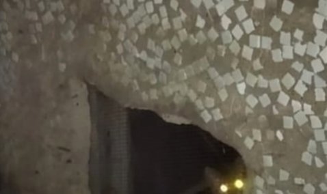 Каширские коммунальщики спасли запертого в подвале котенка