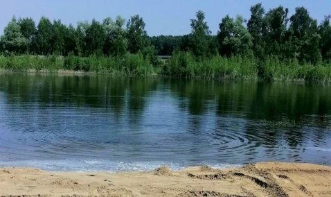 Пляж обустроили в Аладьино после обращения жительницы в соцсетях