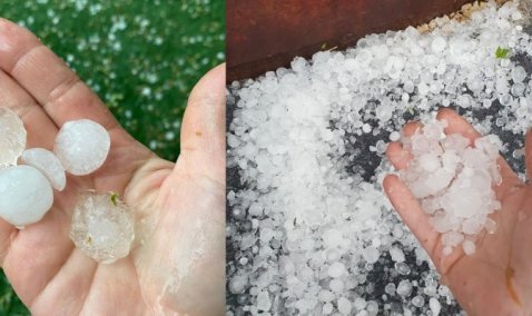 Каширу накрыла стихия: шквалистый ветер, град, поваленные деревья