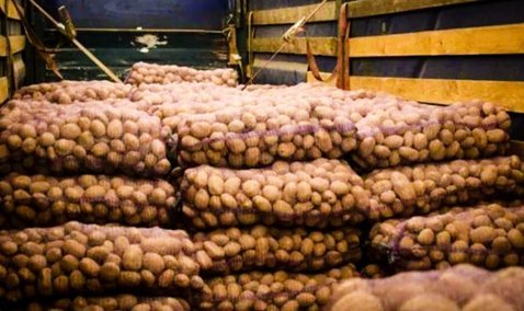 Грузовик с 20 тоннами овощей, следовавший в Каширу, задержали сотрудники ФСБ и Россельхознадзора