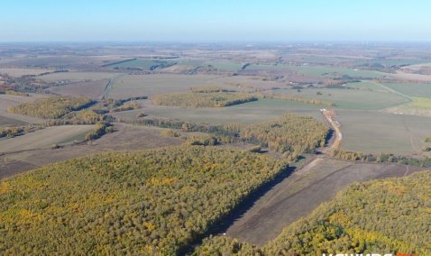 Врачам в Кашире начнут бесплатно давать земельные участки
