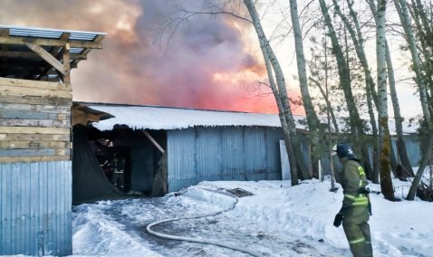 На территории тепличного комплекса в Кашире горят хозяйственные постройки