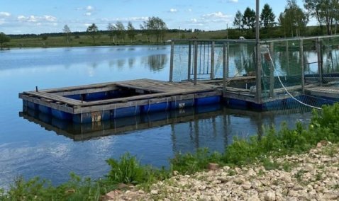 Минэкологии запретило использовать пруд в деревне Кокино для платной рыбалки