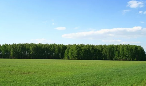 Неплатежеспособный латвийский банк решил продать более 4 млн кв.м. земли в Кашире