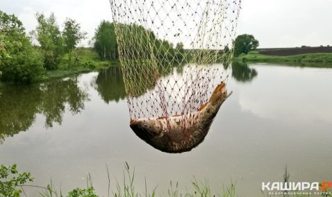«Мострансавто» назвал самые популярные маршруты у рыбаков в городском округе Кашира