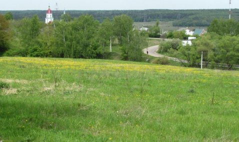 Количество участков для многодетных семей Каширы увеличено почти в два раза