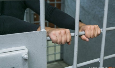 Каширянина заключили под стражу за организацию незаконного пребывания иностранца на территории России