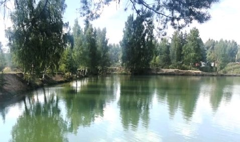 Суд встал на сторону жителей, постановив снести ограждение пруда в деревне под Каширой