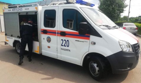 В Кашире спасли кошку, два дня беспомощно просидевшую на дереве