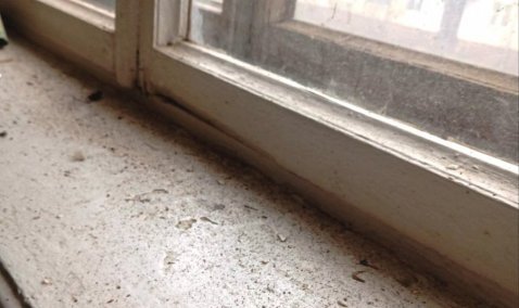 Переходной период: каширянам обещают возобновить содержание домов с середины апреля