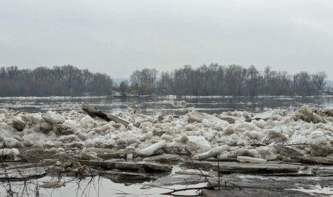 Более 80 частных домов в Кашире могут попасть в зону подтопления во время паводка