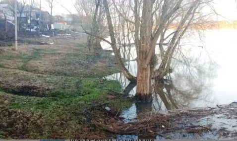 Уровень воды в Оке в районе Каширы начал снижаться