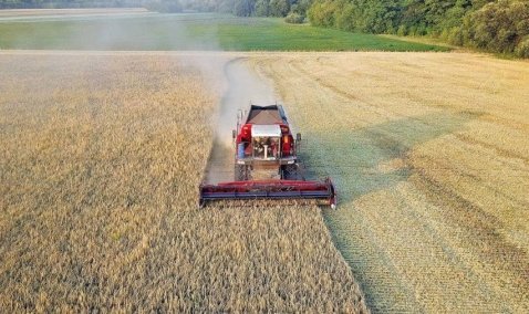 Более миллиона рублей субсидий предоставили каширским предпринимателям в 2020 году