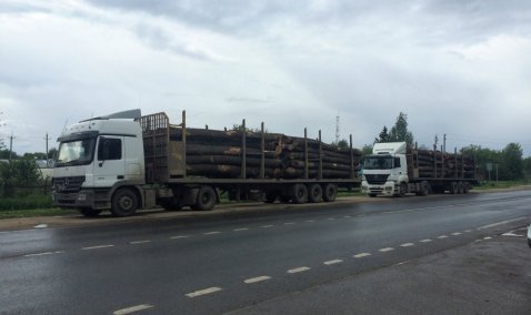 Незаконную перевозку лесоматериала выявили каширские инспекторы ДПС ОГИБДД