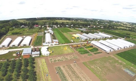 Агрокомпания из Каширы намерена пригласить мировую звезду на ежегодный праздник «День поля»