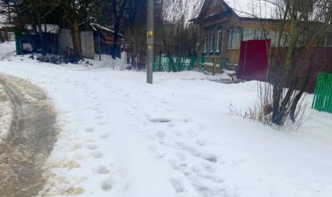 Снегопад в Кашире: рекордная норма и пробки на железной дороге