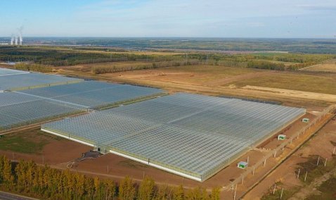 Мособлархитектура приступила к планировке территории особой экономической зоны в Кашире