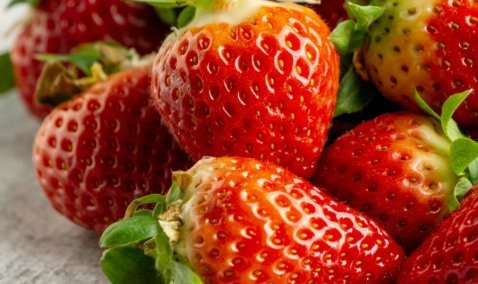 На предприятии под Каширой собрали тонну клубники