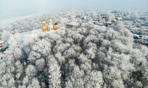 Природа – лучший художник красоты