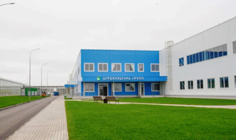 Пятую очередь тепличного комплекса «Агрокультура Групп» ввели в эксплуатацию в Кашире