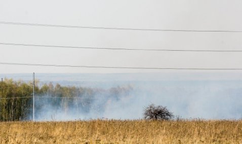 Наивысший класс пожарной опасности установлен на территории Каширы из-за жары