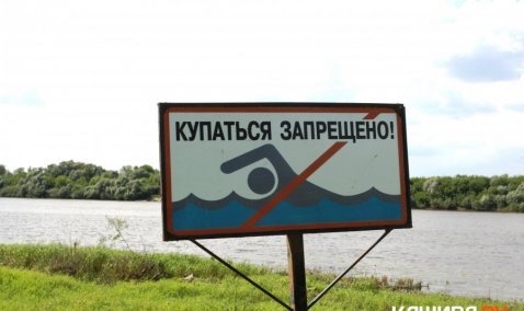 Пляж на Оке в Кашире включили в интерактивную карту Московской области