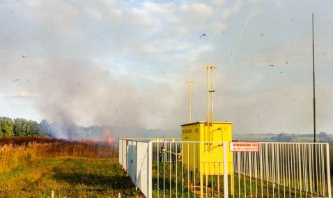 Под Каширой горящая трава вплотную подобралась к газорегуляторному пункту