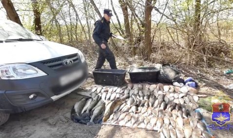 В Кашире задержали браконьера за незаконный вылов более 130 особей рыбы
