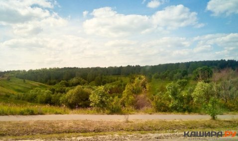 Вопрос о восстановлении Хитровского пруда в Кашире направлен в Минэкологии Московской области