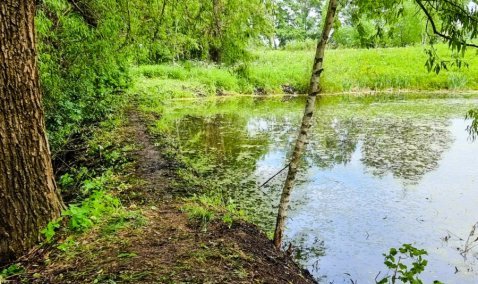 В городском округе Кашира за 1,7 миллионов рублей благоустроят деревенский пруд