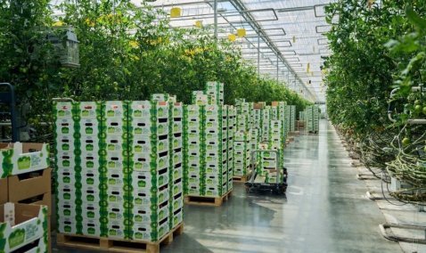 Каширское предприятие «Агрокультура Групп» примет участие в Международной выставке Global Fresh Market