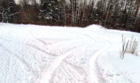 Нерадивые автомобилисты испортили часть лыжной трассы в Каширском парке