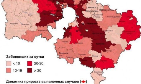 Количество выявленных случаев COVID-19 среди каширян приближается к тысячи