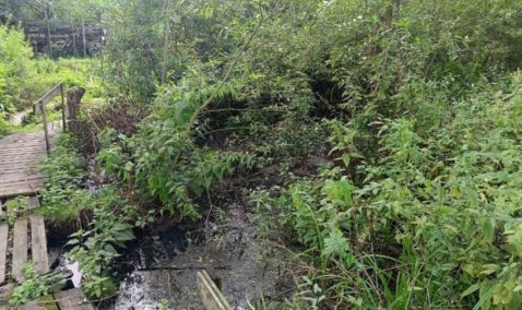 Проверка из министерства приехала в Ледово, где более десяти лет сливают в овраг канализацию