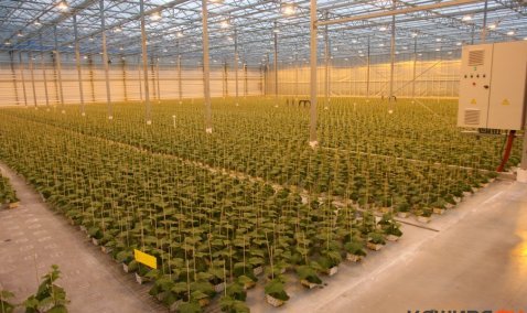 «Агрокультура Групп» рассчитывает получить треть компенсации из бюджета за строительство 3-й очереди