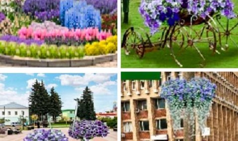 Цветники и декоративные цветочницы украсят Каширу в начале лета