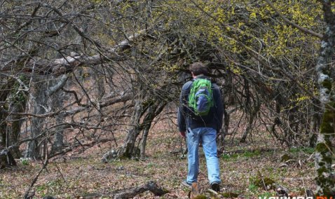 Сотрудники Каширской ЕДДС помогли двум глухим людям выбраться из леса