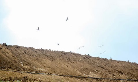 Каширский комплекс по переработке отходов проверят на вместимость мусора