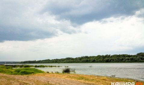 Тело мужчины, отправившегося купаться в Соколовой Пустыне, через 2 дня обнаружили в районе Каширы