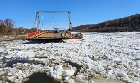 В сети появилась петиция о строительстве стационарного моста через Оку в Озерах