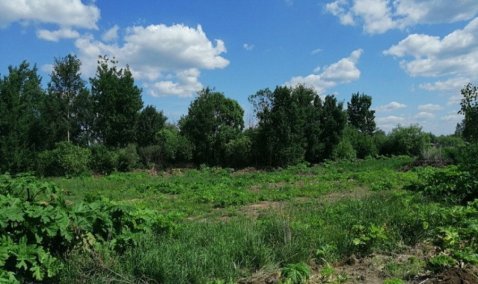 Владельца 1,5 тысяч гектаров земли в Кашире дважды оштрафовали за неухоженность участка