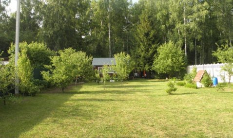 Дачные участки в городском округе Кашира — одни из самых дешевых в Подмосковье