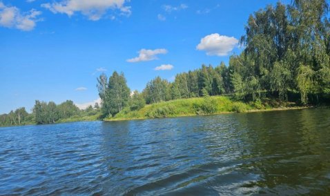 В Минэкологии отчитались о проведении работ по очистке пруда в Ожерелье