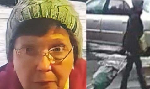 Напал неизвестный, ударил по голове и затащил в машину: по факту похищения пенсионерки под Каширой возбуждено уголовное дело