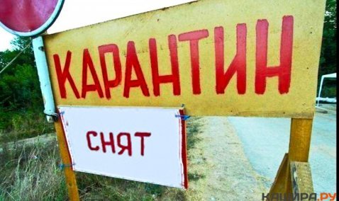 Карантин по африканской чуме свиней отменен в городском округе Кашира