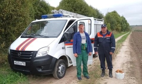 Спасатели под Каширой вывели из леса потерявшегося грибника